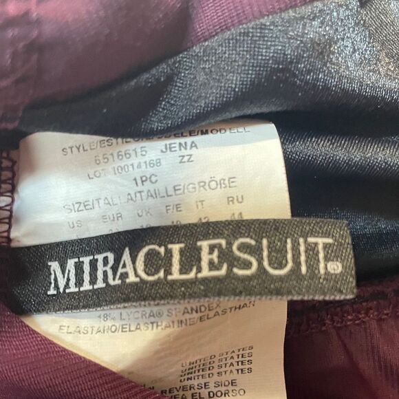 Miraclesuit One-Shoulder Plum Swimsuit - Picture 5 of 5